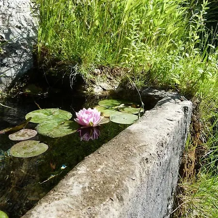 Provencal Farmhous Luberon, Swimming Pool * Revest-des-Brousses
