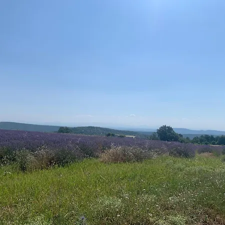 Provencal Farmhous Luberon, Swimming Pool בית נופש *