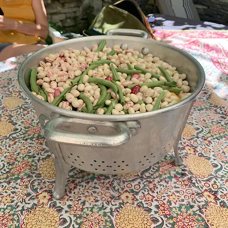 Provencal Farmhous Luberon, Swimming Pool בית נופש Revest-des-Brousses